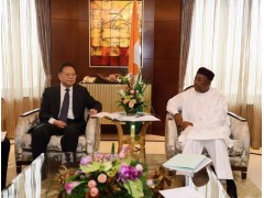汪建平拜會尼日爾總統(tǒng)伊素福